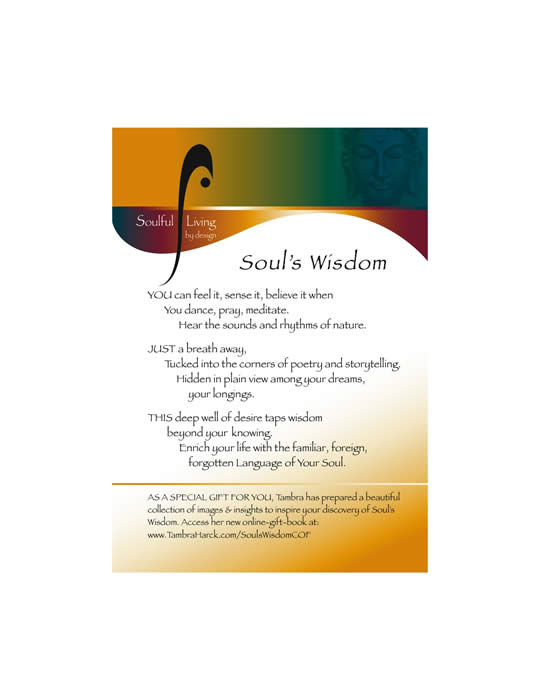 Soul's Wisdom image